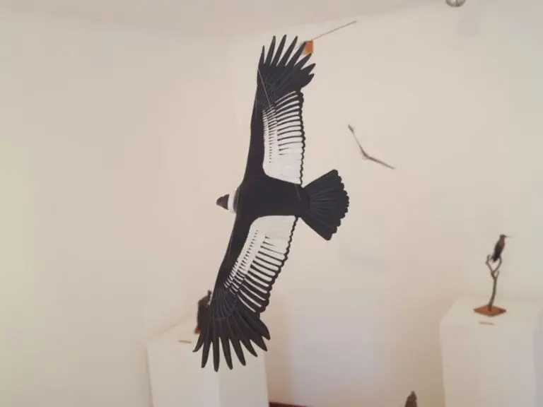 Espectacular exposición sobre aves chilenas