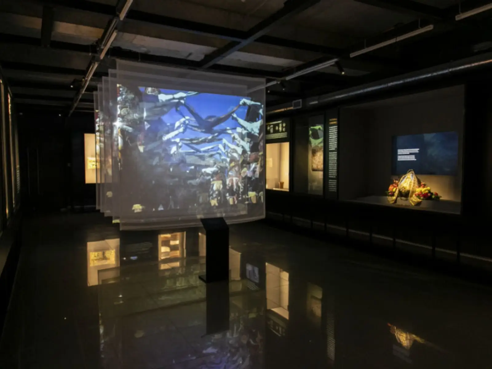 Museo Precolombino presenta exposición gratuita en Antofagasta