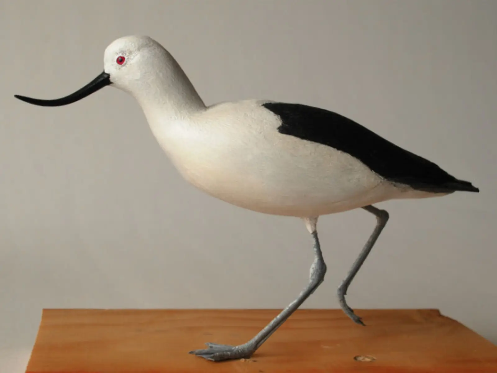 Aves andinas se convierten en bellas obras de arte en exposición “Chiwanku»