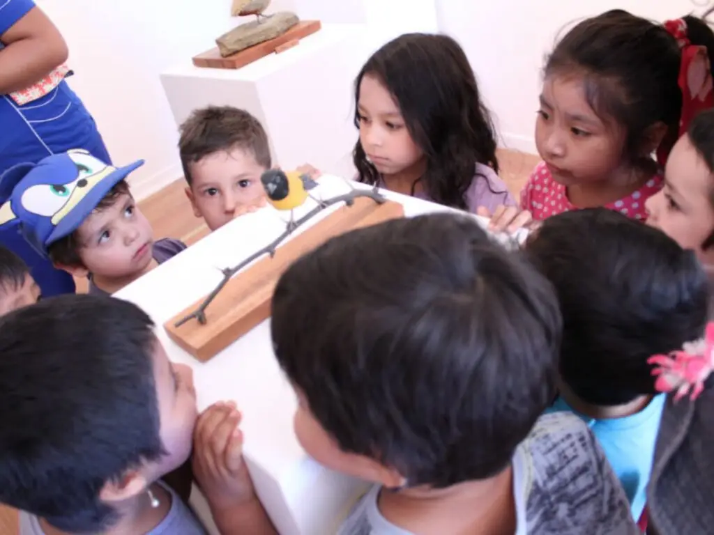 Comunidad valora rescate de biodiversidad local en exposición «Chiwanku: Aves Andinas»