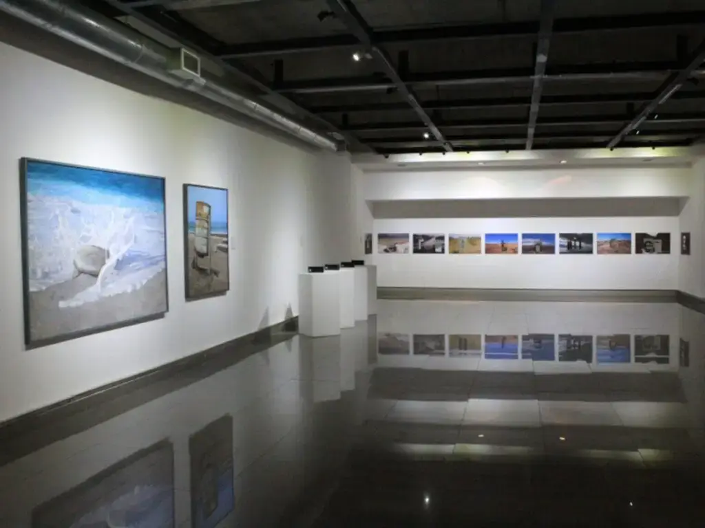 Artistas de todo el norte postularon a la Convocatoria Artes Visuales 2020