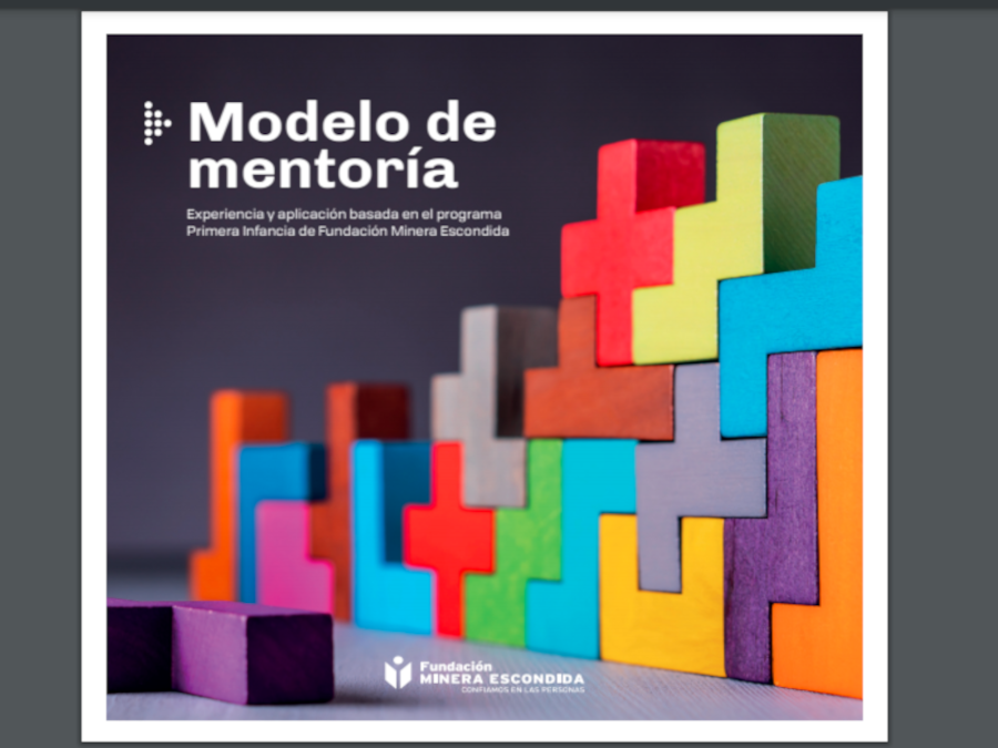 Libro acerca de Modelo de Mentoría es compartido en diferentes grupos de  interés de la región y el país | FME