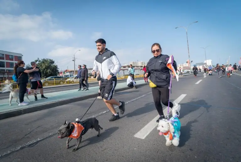Corrida Perruna (2)