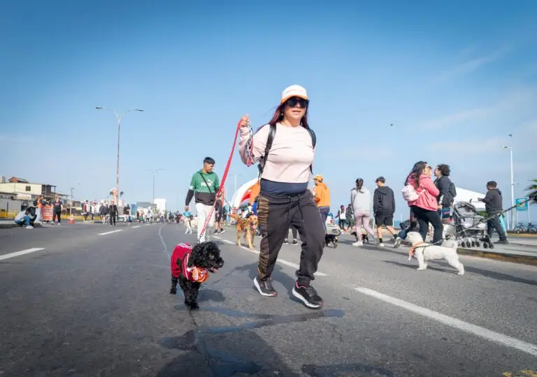 Corrida Perruna (3)