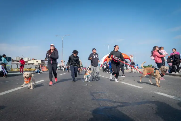 Corrida Perruna (4)