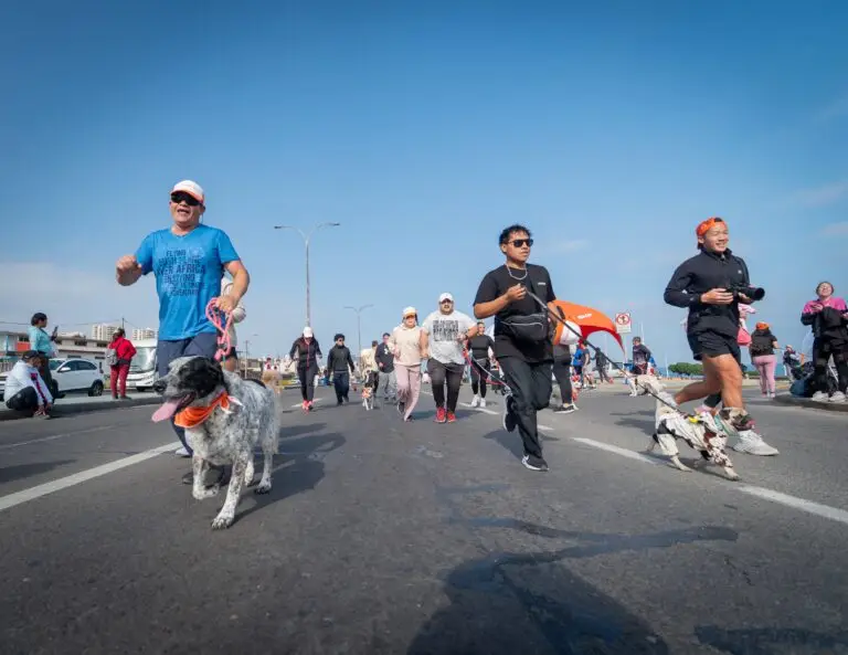 Corrida Perruna (5)