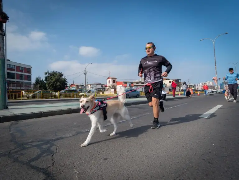 Corrida Perruna (6)