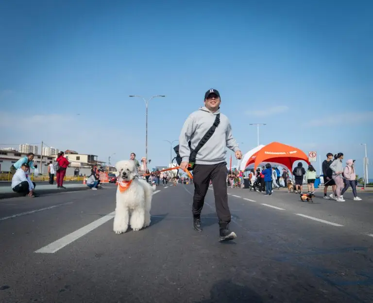 Corrida Perruna (8)