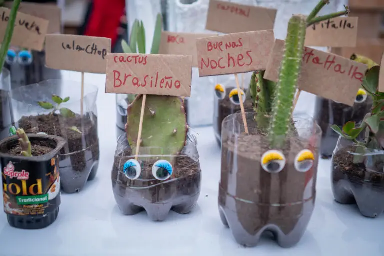 Feria acción climática Antofagasta