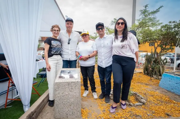 WhatsApp Image 2025-11-22 at 15.23.45 (1)