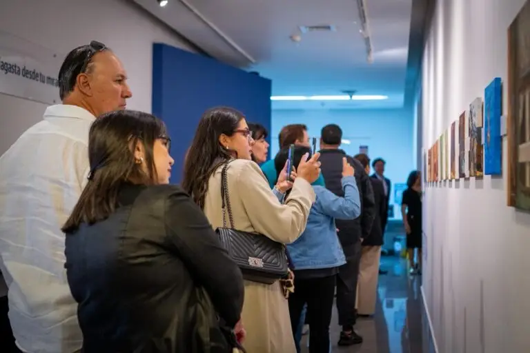 pintura-oleo-acrilico-identidad-nortina-antofagasta (4)