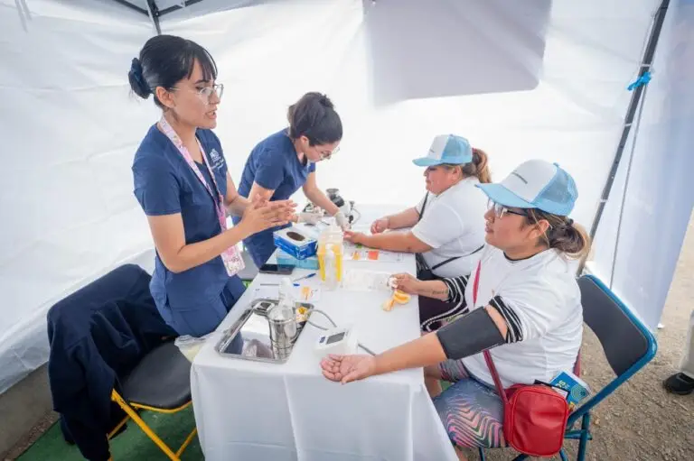 remodelacion-plaza-lenka-franulic-antofagasta-feria-ciudadana (6)