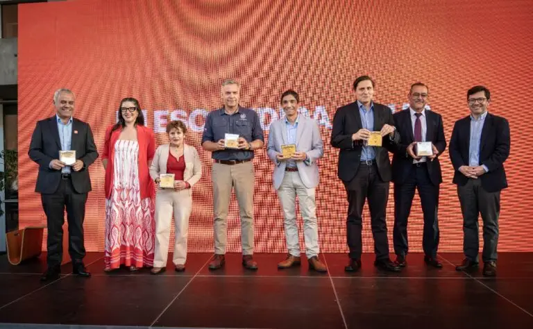 Programación 202603