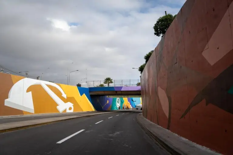 Mural la Chimba (5)