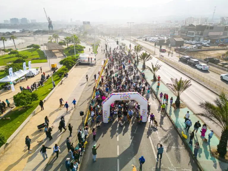 Corrida Familiar Perruna (1)