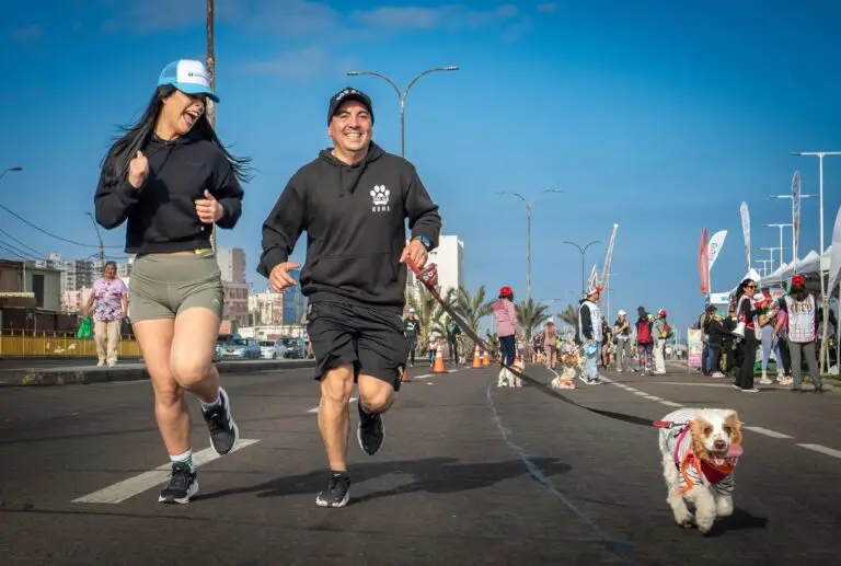 Corrida Familiar Perruna (4)