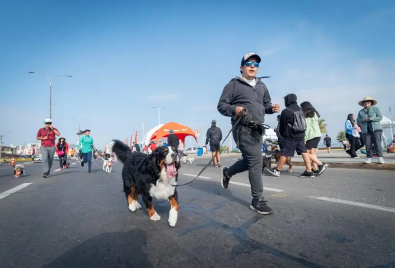 Corrida Perruna (2)