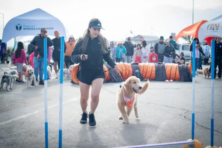 Corrida Perruna (4)